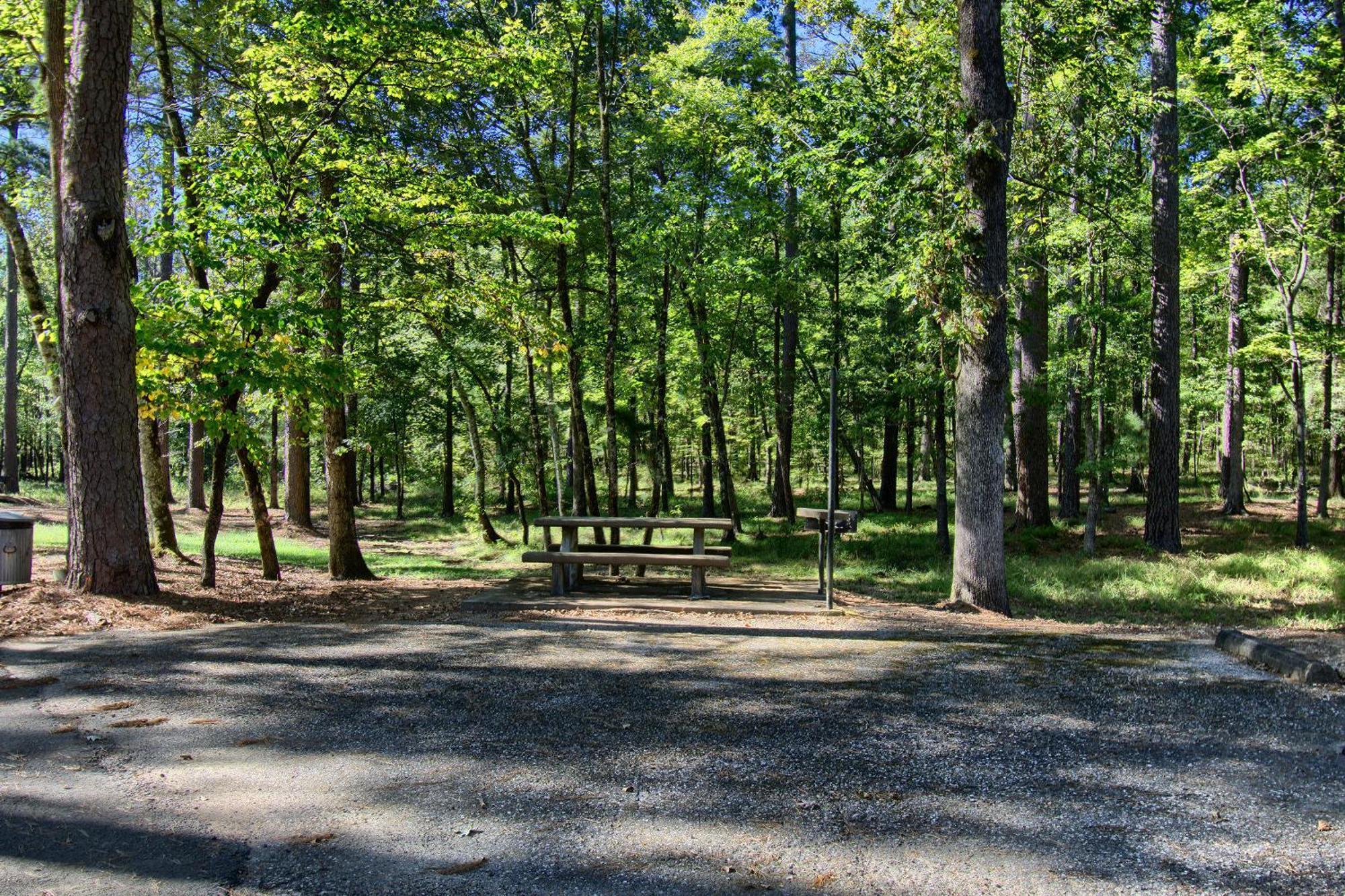 The Americana - Parker Creek Bend Cabins Murfreesboro Zewnętrze zdjęcie